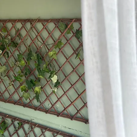 Seameraki Elaiokhorion