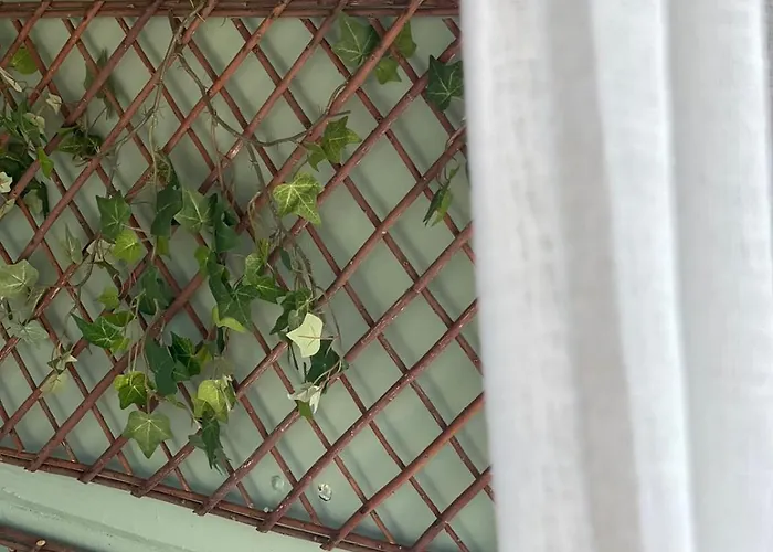 Seameraki Elaiokhorion