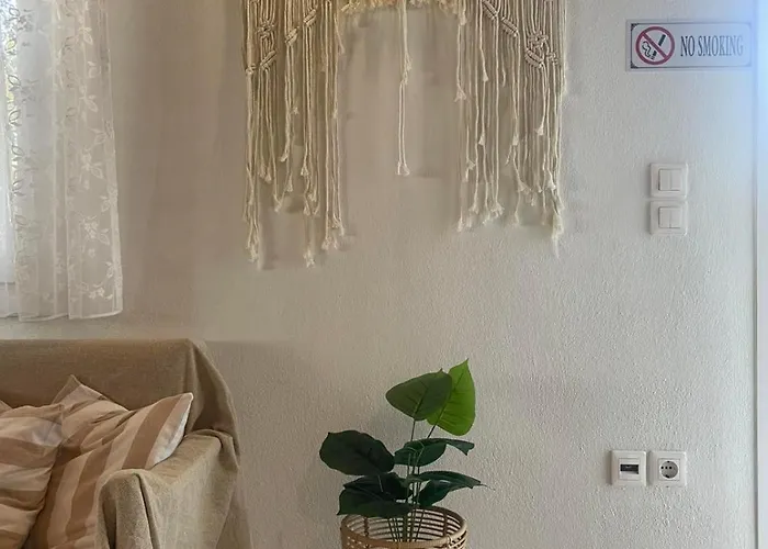 Seameraki * Elaiokhorion